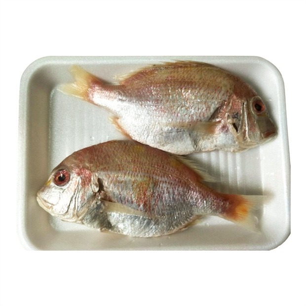 S__110354476.jpg