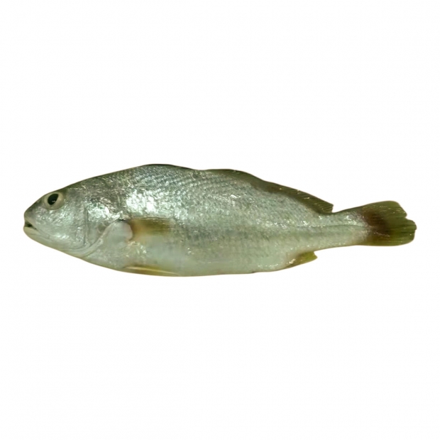 S__110354477.jpg