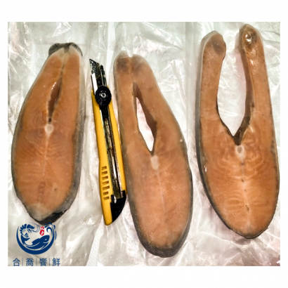 鮭魚22p-6kg-1.png